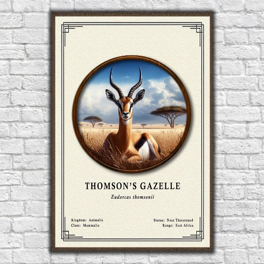 Thomson's Gazelle Zoology Series ポスター