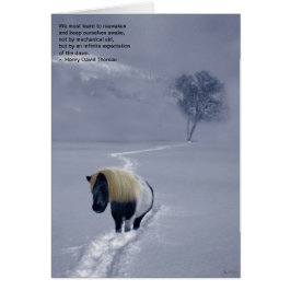 "Thoreau再度目ざめる"カード
