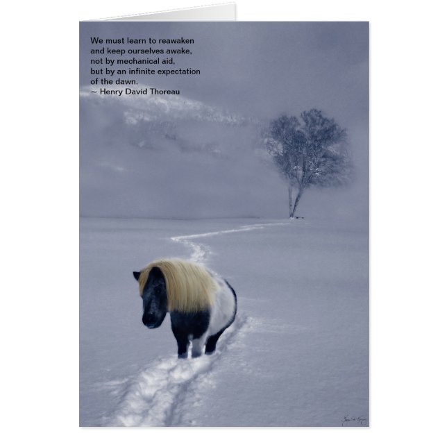 "Thoreau再度目ざめる"カード (正面)