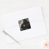 THORIN OAKENSHIELD™キャラクターポスター2 スクエアシール (封筒)