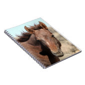 Thorin of Sand Wash Basin ノートブック (右側)