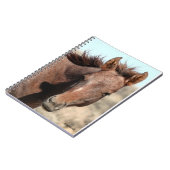 Thorin of Sand Wash Basin ノートブック (左側)