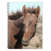 Thorin of Sand Wash Basin ノートブック (正面)