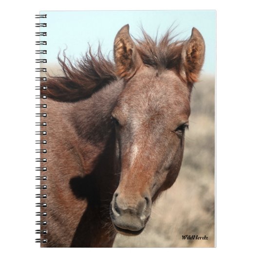 Thorin of Sand Wash Basin ノートブック (正面)