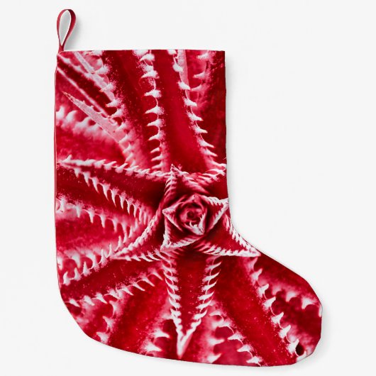 thorn cactus,natural pattern,abstract red backgrou スモールクリスマスストッキング (正面)