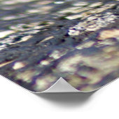 Thorny Devil Lizard Outbackオーストラリア、最大24x18 ポスター (角)