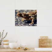 Thorny Devil Lizard Outbackオーストラリア、最大24x18 ポスター (キッチン)