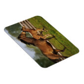 Thoroughbred Chestnut Mare & Foal マグネット (右側)