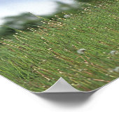 Thoroughbred Foal Standing in the Grass ポスター (角)