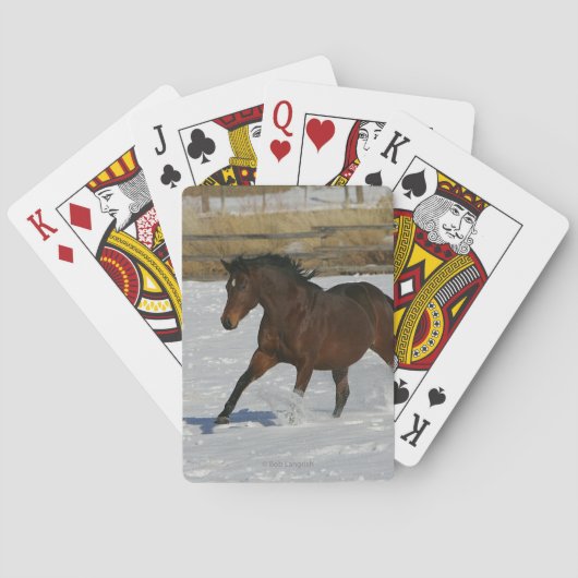 Thoroughbred Horse Running in the Snow トランプ (裏面)
