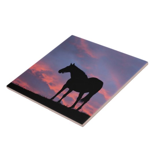 Thoroughbred Horse Silhouetted at Sunrise タイル (側面)
