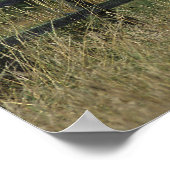 Thoroughbred Horse Standing by Fence ポスター (角)