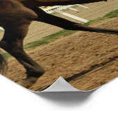 Thoroughbred Race Horse Poster Print ポスター (角)