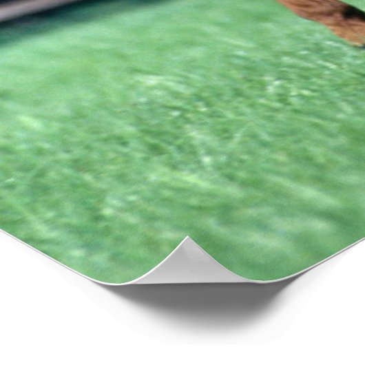 Thoroughbred Stallion, Ireland ポスター (角)