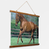 Thoroughbred Stallion, Ireland 吊り下げ型タペストリー (傾斜あり)