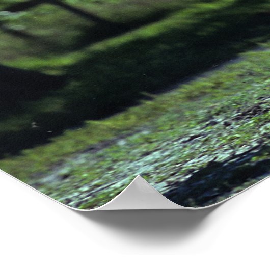 Thoroughbred Stallion Running ポスター (角)