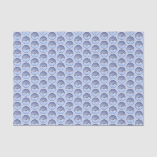 Thoted Titmouse絵画's - Bird Artオリジナル 薄葉紙 (正面)