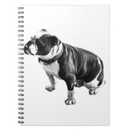 Thoughts Can Take Their Time ノートブック