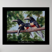 Three Amigo's Toucan Poster Print ポスター (正面)