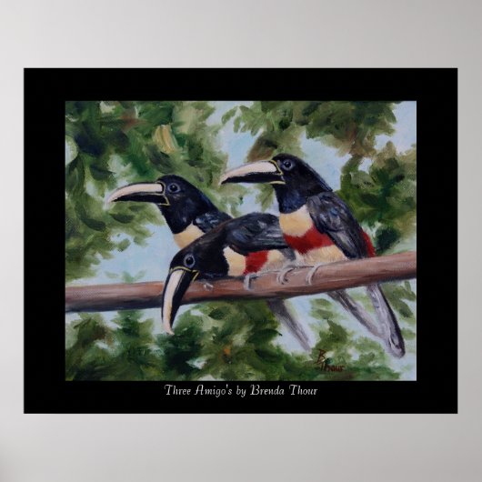 Three Amigo's Toucan Poster Print ポスター (正面)