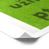 Three Birds in Tree - Matchbox Print - Czech Wall ポスター (角)