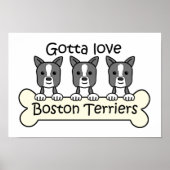 Three Boston Terriers ポスター (正面)