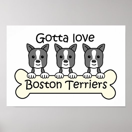 Three Boston Terriers ポスター (正面)