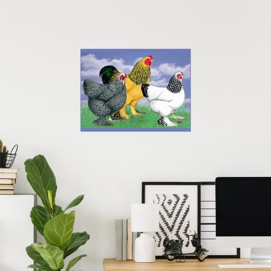 Three Brahmas ポスター (ホームオフィス)