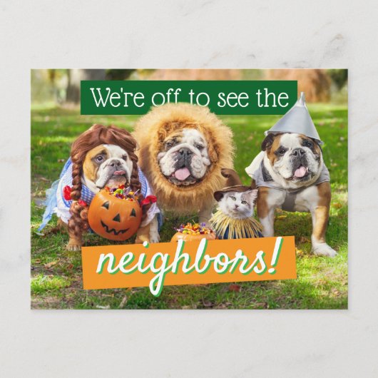 Three Bulldogs in Costumes インビテーションポストカード (正面)