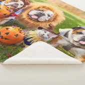 Three Bulldogs in Costumes シェルパブランケット (3/4)