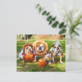 Three Bulldogs in Costumes ポストカード (スタンド正面)