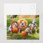 Three Bulldogs in Costumes ポストカード (正面/裏面)