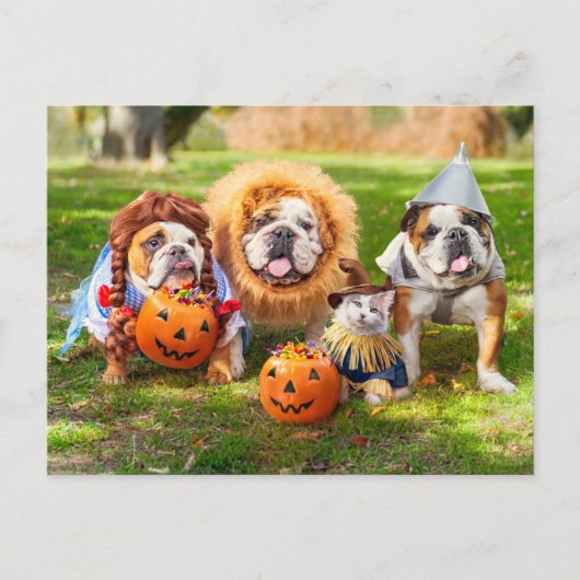 Three Bulldogs in Costumes ポストカード (正面)