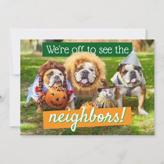 Three Bulldogs in Costumes 招待状 (正面)