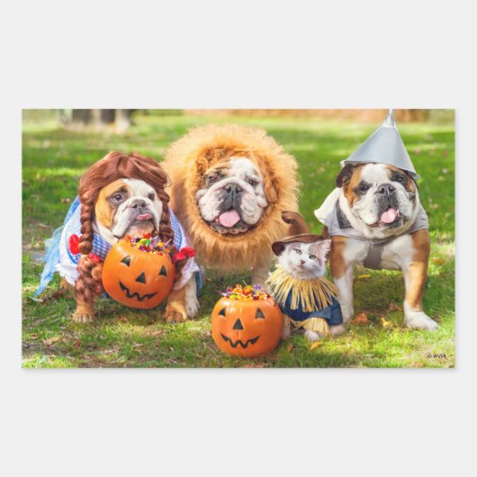 Three Bulldogs in Costumes 長方形シール (正面)