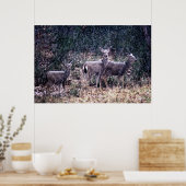 Three Deer in Snow - Sierra Nevadas ポスター (キッチン)