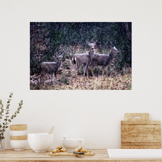 Three Deer in Snow - Sierra Nevadas ポスター (キッチン)
