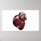 Three Dimensional View Of Human Heart, Front ポスター (正面)