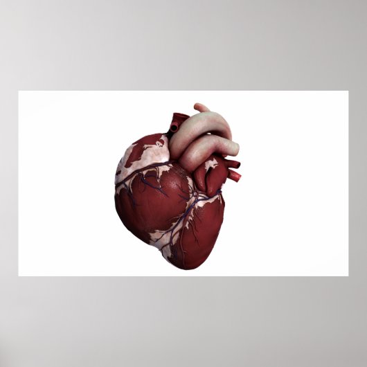 Three Dimensional View Of Human Heart, Front ポスター (正面)