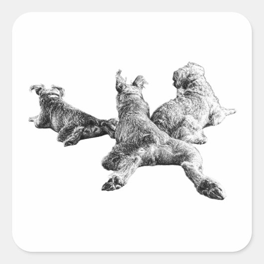 Three Dogs Sticker – Relaxed Trio from Behind スクエアシール (正面)