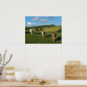 Three Donkeys in a Field Photograph ポスター (キッチン)