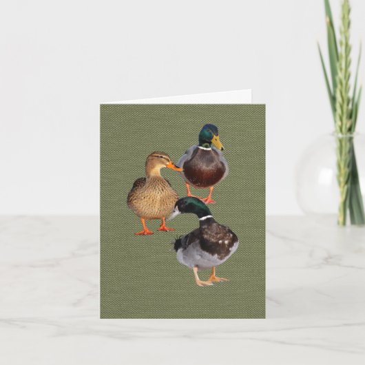 Three funny wild Ducks Folded Greeting Card カード (正面)