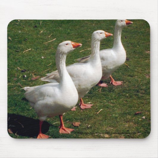 Three Geese a Strutting - Mouse mat.カスタマイズ. マウスパッド (正面)