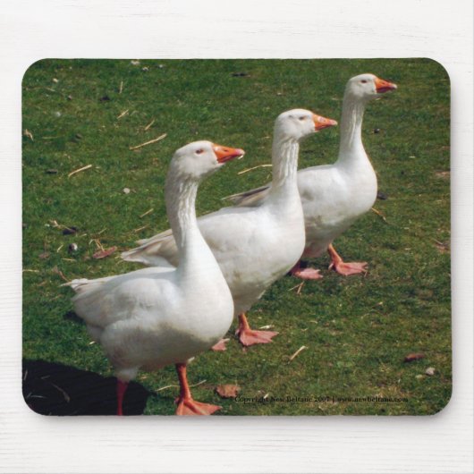 Three Geese a Strutting - Mouse mat.カスタマイズ. マウスパッド (正面)