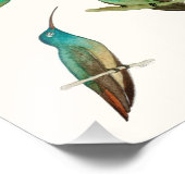 Three Hummingbirds  フォトプリント (角)