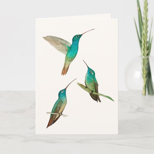 Three Hummingbirds Greeting Card カード (正面)