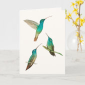 Three Hummingbirds Greeting Card カード (黄色い花)
