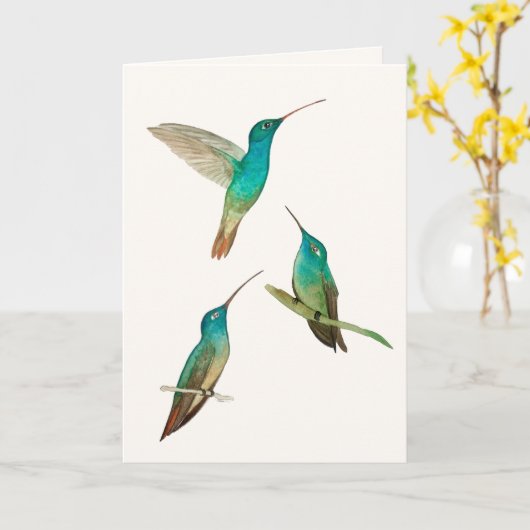 Three Hummingbirds Greeting Card カード (黄色い花)