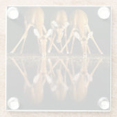 Three Impala Drink Together at Night ガラスコースター (裏面)