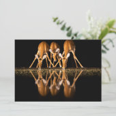 Three Impala Drink Together at Night サンキューカード (スタンド正面)